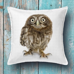 Little Owl cushion cover - owl decorative pillow cover, owl throw pillow cover, Canvas pillow, Throw pillow, Toss pillow, Decorative pillow