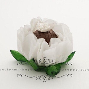 Truffle wrappers Forminhas