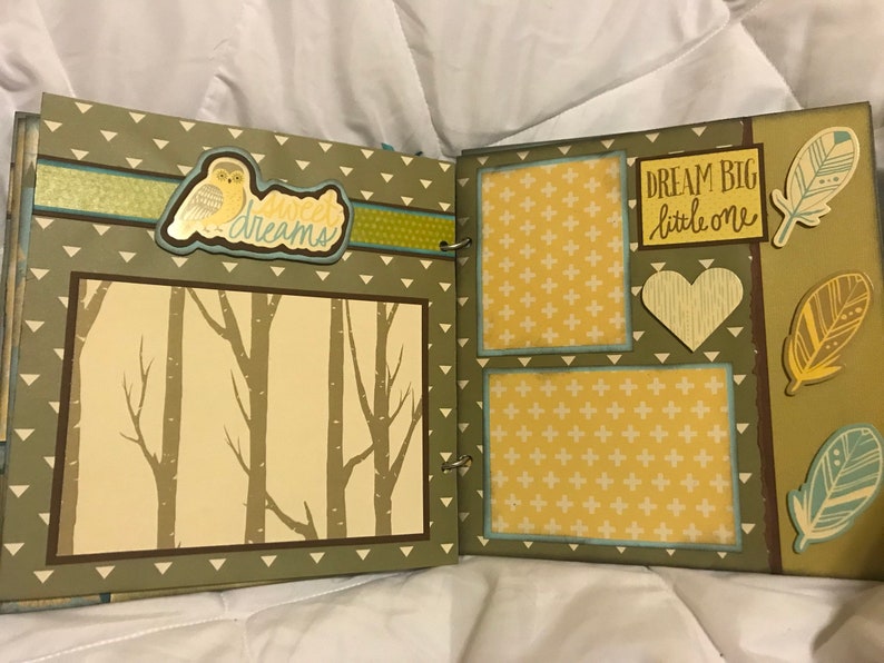 Baby Boy Wilderness album