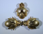 Deco Beetle Belt and Clip