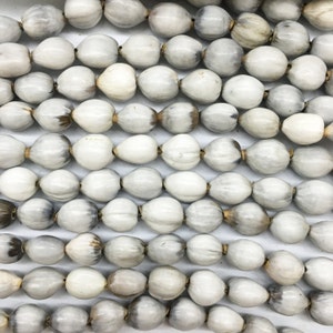 San Pedro Beads &quot;Job&#39;s tears&quot; | All white | 10mm | For making jewelry | 75 and 150 units in a bag | Seed Beads | Wholesale price available.