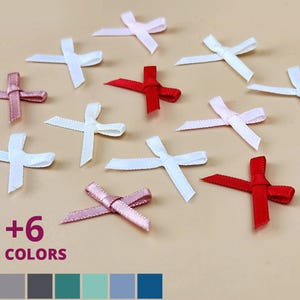 May include: Assortment of small satin ribbon bows in various colors, including white, pink, red, and teal.  +6 Colors.