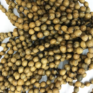San Pedro beads (Job&#39;s Tears) - Tan color (Roasted) Beads | 10mm | For making jewelry | 40 or 70 beads in the bag | Natural Seed Beads