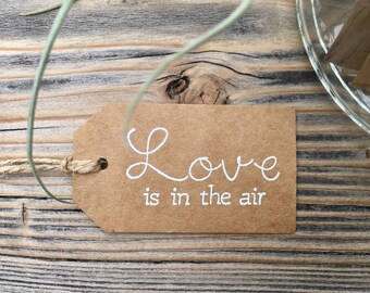 Set of 10 “Love is in the air" Air Plant Shower Favor Tag-Bridal Shower-Wedding Favor-Air Plant Favors-Handmade-Terrarium Favor Tag-Embossed