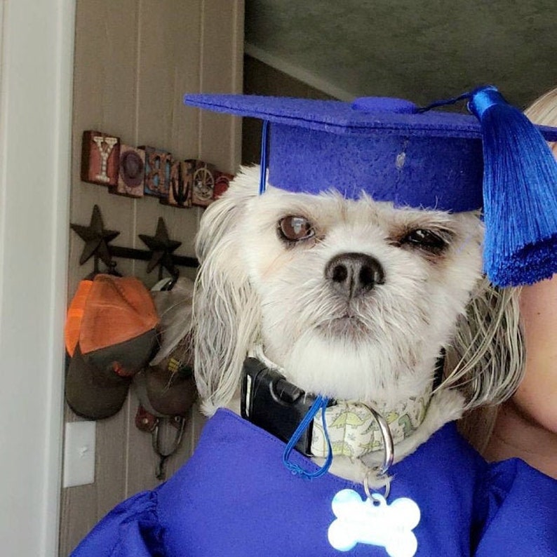 Aazon.co : GOYOSWA 3 PCS Dog Graduation Outfit, Dog Graduation Cap