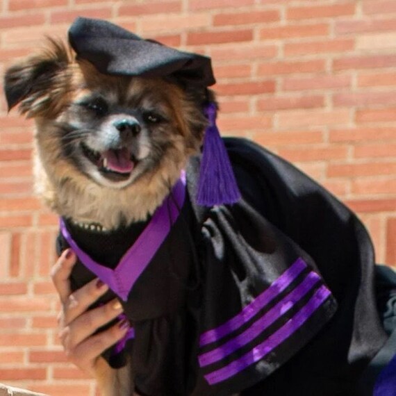 JOINSI Pet Dog Graduation Caps with Bow Tie Necktie India | Ubuy