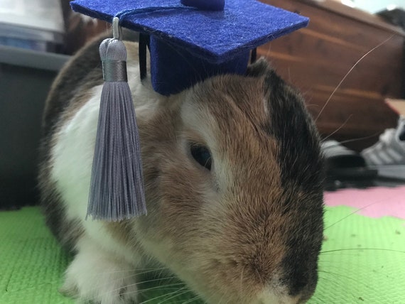 Pet Graduation Cap Dog Graduation Cap