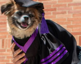 Pet Graduation Cap and Gown with Hood,  Custom Doctoral Outfit