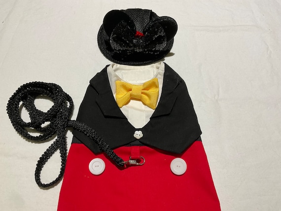 Pet Mouse Costume