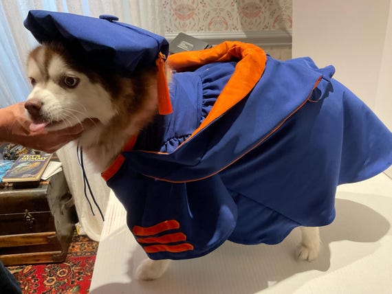 Doctoral Pet Graduation Cap & Gown STOLE INCLUDED Therapy Dog Graduation Cap Graduation Gown
