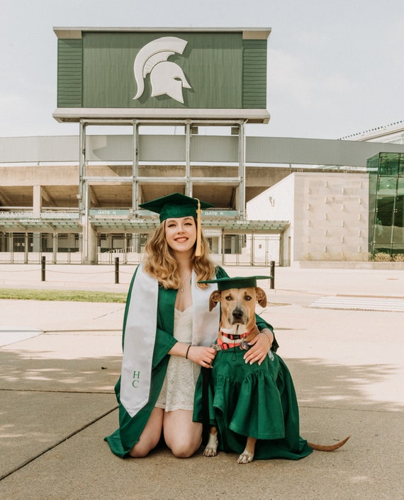Premium Photo | Dog in graduation cap and gown Realistic chihuahua portrait  Generative AI