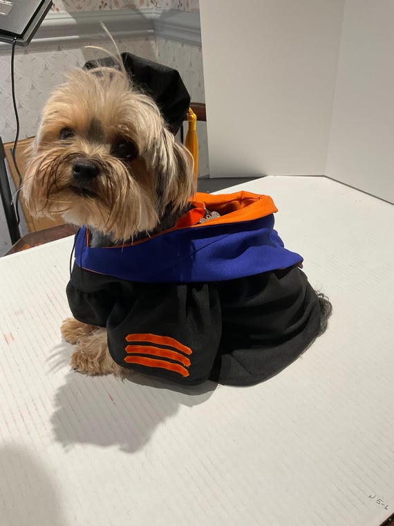 Doctoral Pet Graduation Cap & Gown STOLE INCLUDED Therapy Dog Graduation Cap Graduation Gown