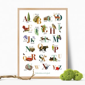 Poster Primer della foresta - decorazione per bambini - poster educativo