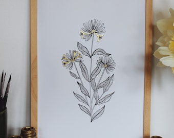 Honeysuckle Art Print, Wildflower Print, Botanical Illustration - The Honeysuckle is a symbol of Fortune, Good Luck & Everlasting Bonds