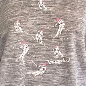 Vintage Switzerland Ski Sweatshirt: 70s Heather Gray Raglan Jumper