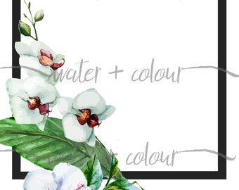 Downloadable tropical orchid border