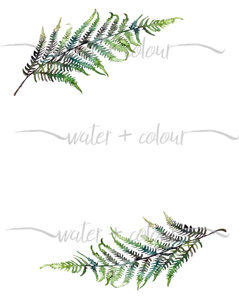 Downloadable Fern Border Etsy