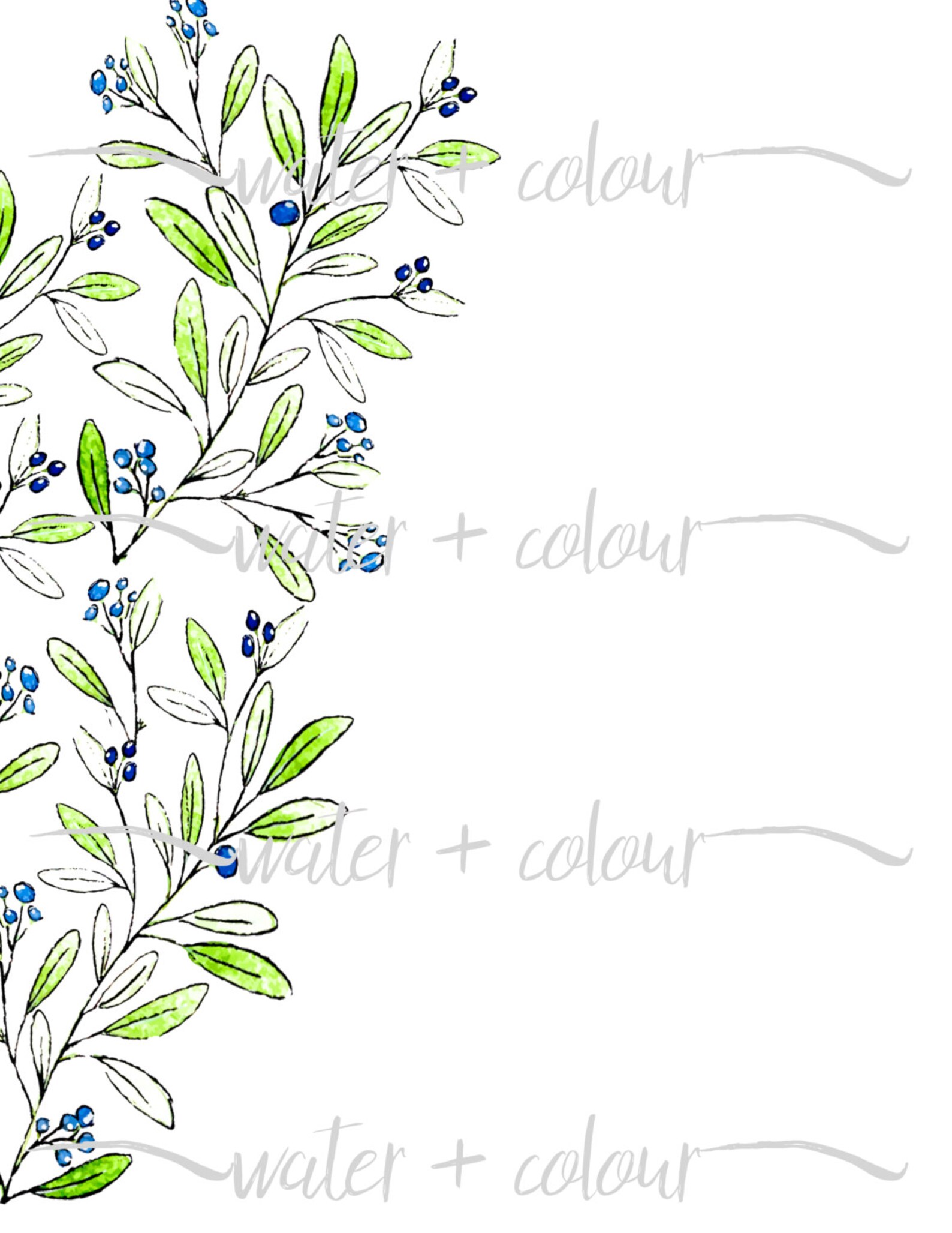 Olive Branch Border Etsy