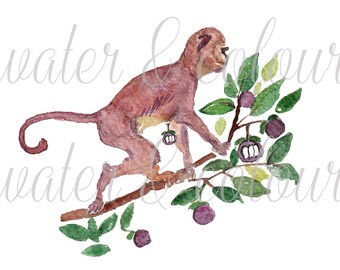 jungle monkey watercolour in transparent background and notecard