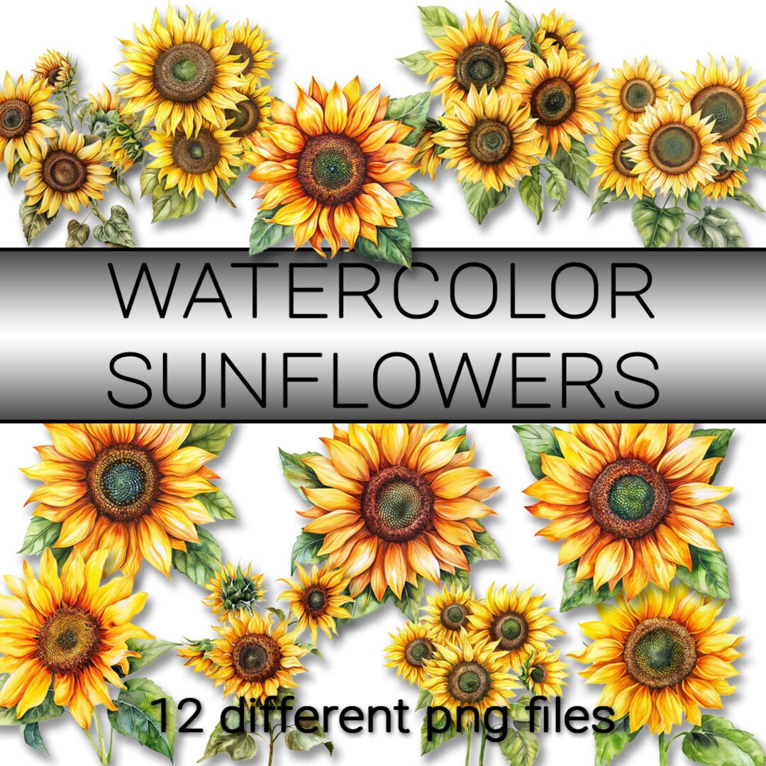 Watercolor Sunflower Clipart, Digital PNG Files, Floral Graphics Bundle ...