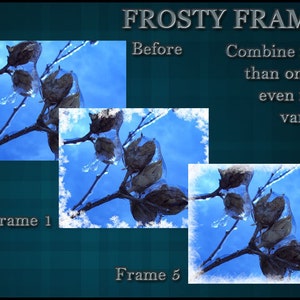 May include: Three images showing a frosty winter scene with a branch of dried seed pods against a blue sky. The first image shows the original image. The second image shows the same scene with a white frosty frame. The third image shows the same scene with a different white frosty frame. The text "FROSTY FRAMES" is at the top of the image. The text "Before" is below the first image. The text "Combine more than one for even more variety." is below the second image. The text "Frame 1" is below the first image. The text "Frame 5" is below the third image.