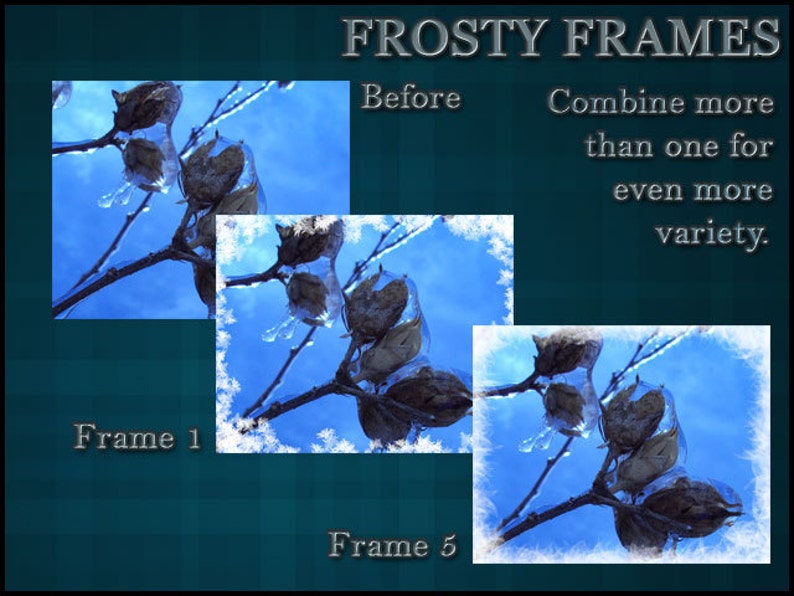 May include: Three images showing a frosty winter scene with a branch of dried seed pods against a blue sky. The first image shows the original image. The second image shows the same scene with a white frosty frame. The third image shows the same scene with a different white frosty frame. The text "FROSTY FRAMES" is at the top of the image. The text "Before" is below the first image. The text "Combine more than one for even more variety." is below the second image. The text "Frame 1" is below the first image. The text "Frame 5" is below the third image.