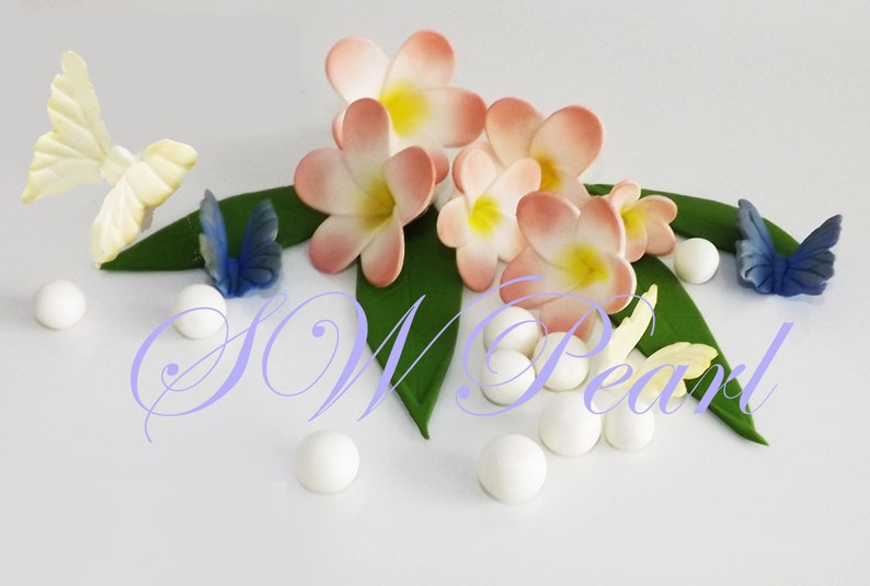 Frangipani Plumeria Sugar Flowers Edible Balls Leaves Etsy