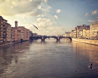 Florence Italy bridge Photograph, River Arno at Sunset, fine art, home decor, Vintage, Birds, Wall Art - I Dream of Florence