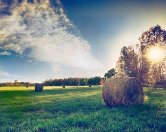 Freshly Cut Hay in Vermont Photography, Harvest Time, Blue Sky, Green Fields, Afternoon Sun, Nature, Beige Hay, Grass - Field and Sky