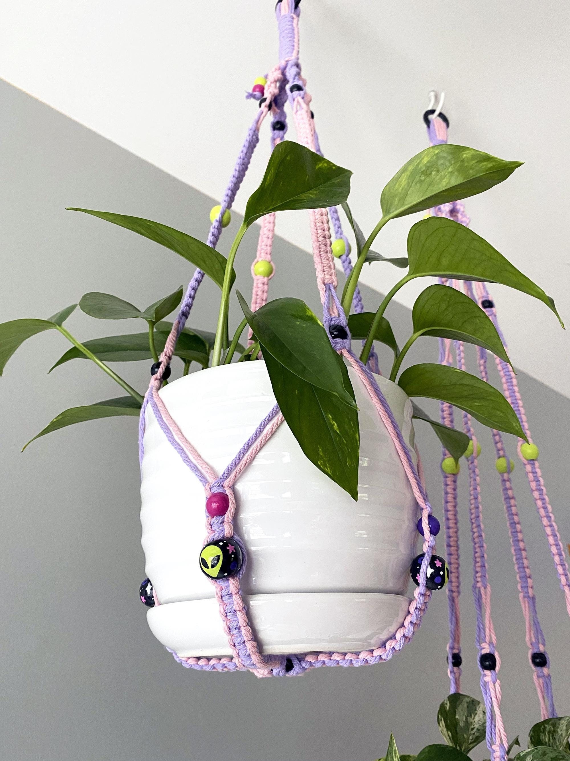 aroid mix for philodendron Premium Spider Plant Potting Mix by GARDENERA main image 0