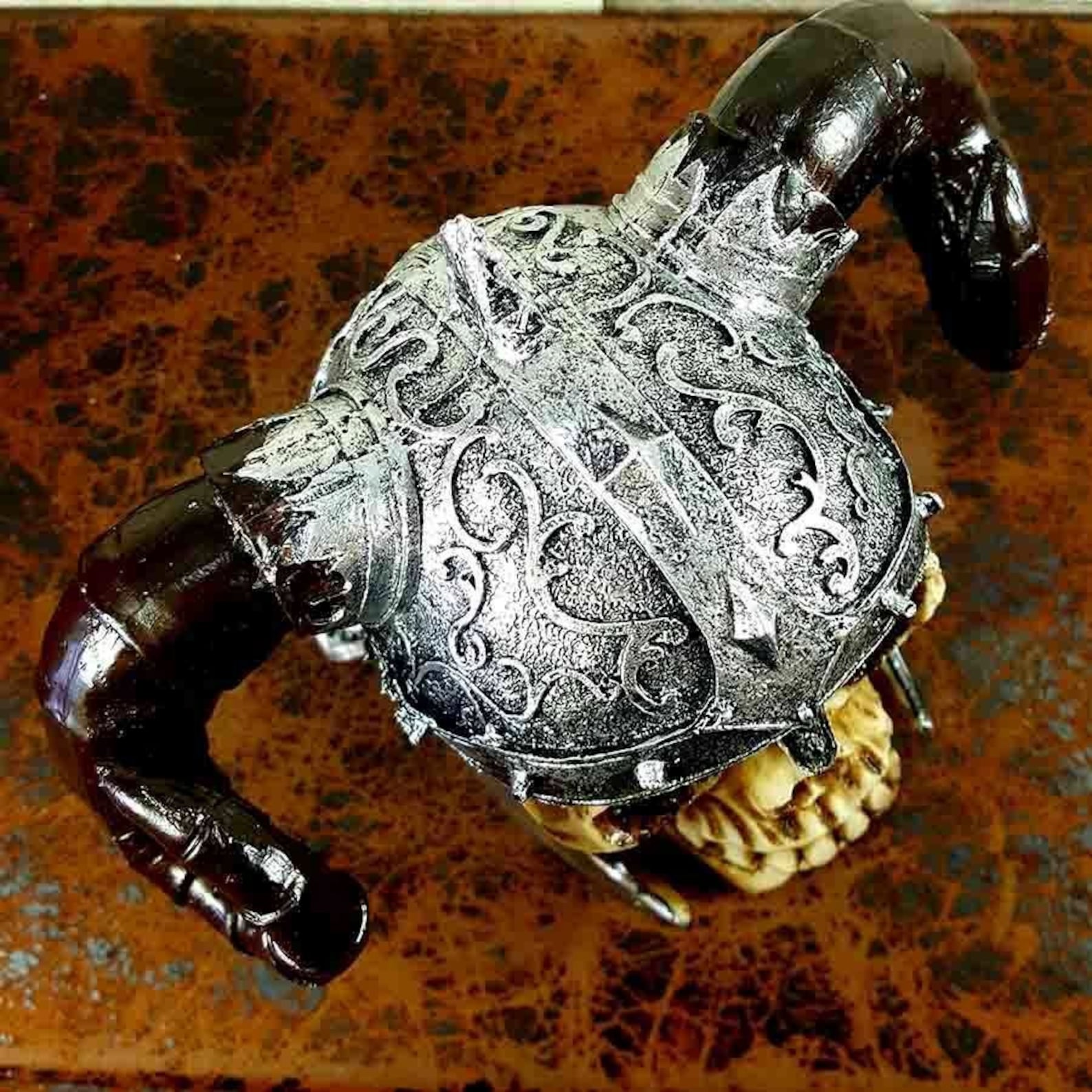 Teschio Anatomico Rimovibile Per Bar Modello Teschio Resina Grandezza  Naturale - Decorazione Halloween E Studio | Bianco, 16x16x12 Cm Replica  Teschio Decorativo, image size:1588x1588