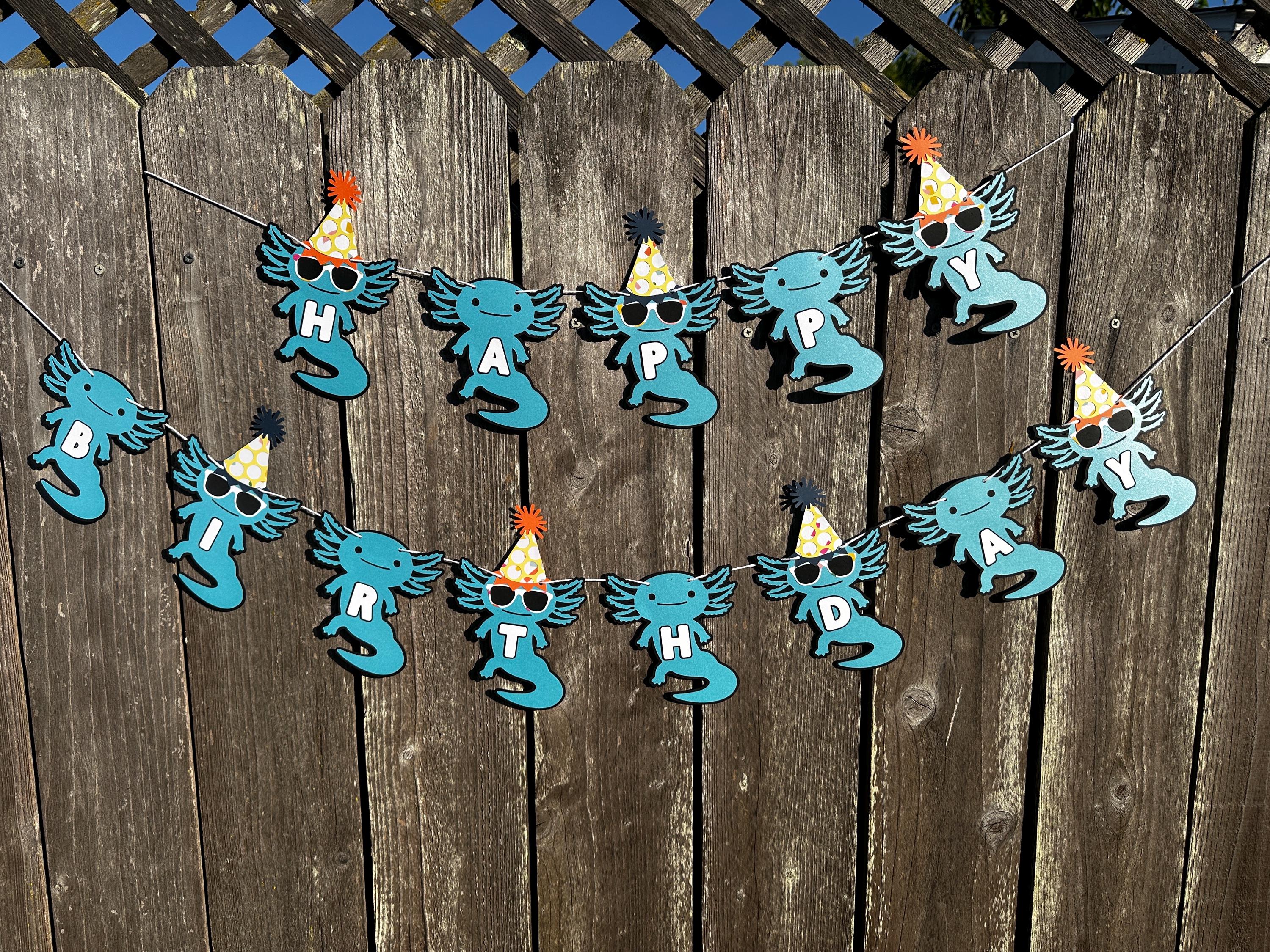 Balterever Axolotl Happy Birthday Banner & Garland - Kids Birthday Party Decorations, 1st 2nd 3rd Birthday - View #8