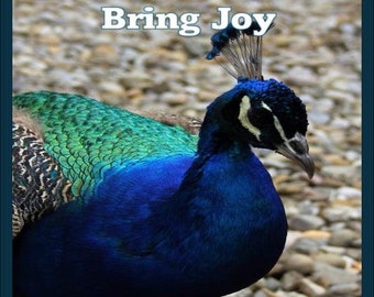 Birds Bring Joy - (41 images - Digital or Print it Out) - A Picture Book For Seniors, with Dementia, Alzheimer's, Brain disorders, Kids