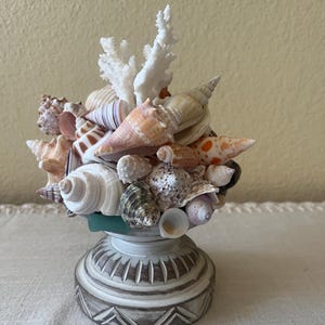 May include: A decorative arrangement of various seashells and a piece of white coral mounted on a round, pedestal-style base. The base is painted in a distressed white and brown finish with carved geometric patterns around the bottom edge.