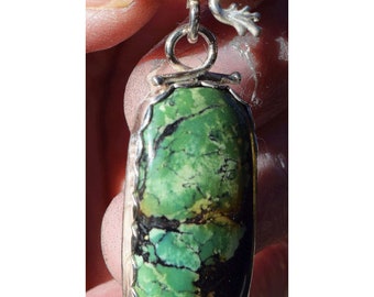 Cool green turquoise pendant with Sterling Silver frog. Froggy/'s dream