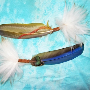 Könnte beinhalten: Zwei Federn mit weißen, flauschigen Spitzen. Die obere Feder ist braun mit einem roten Streifen und die untere Feder ist blau mit schwarzen Punkten.