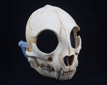 Cat Skull Mask - Full - Bone Painted