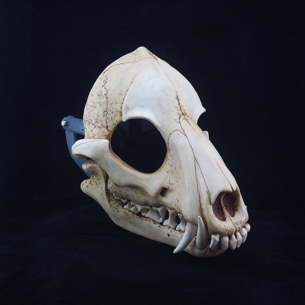 Wolf Skull Mask - Full - Bone Painted
