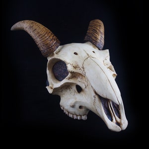 Goat Skull Mask - Half