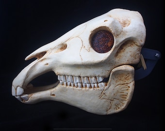 Puede incluir: Un cráneo de caballo blanco, esculpido y detallado, con una cuenca del ojo marrón. El cráneo está montado sobre un fondo negro. El texto "Bueshang's Creations" y "laurenKdesigns" es visible debajo del cráneo.