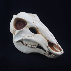 Deer Skull Mask