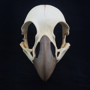 Bird Skull Mask - Full - Etsy