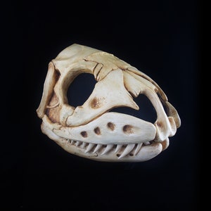 Pode incluir: Uma máscara de crânio de cerâmica branca com um design detalhado, incluindo dentes e uma superfície texturizada. A máscara é colocada sobre um fundo preto.