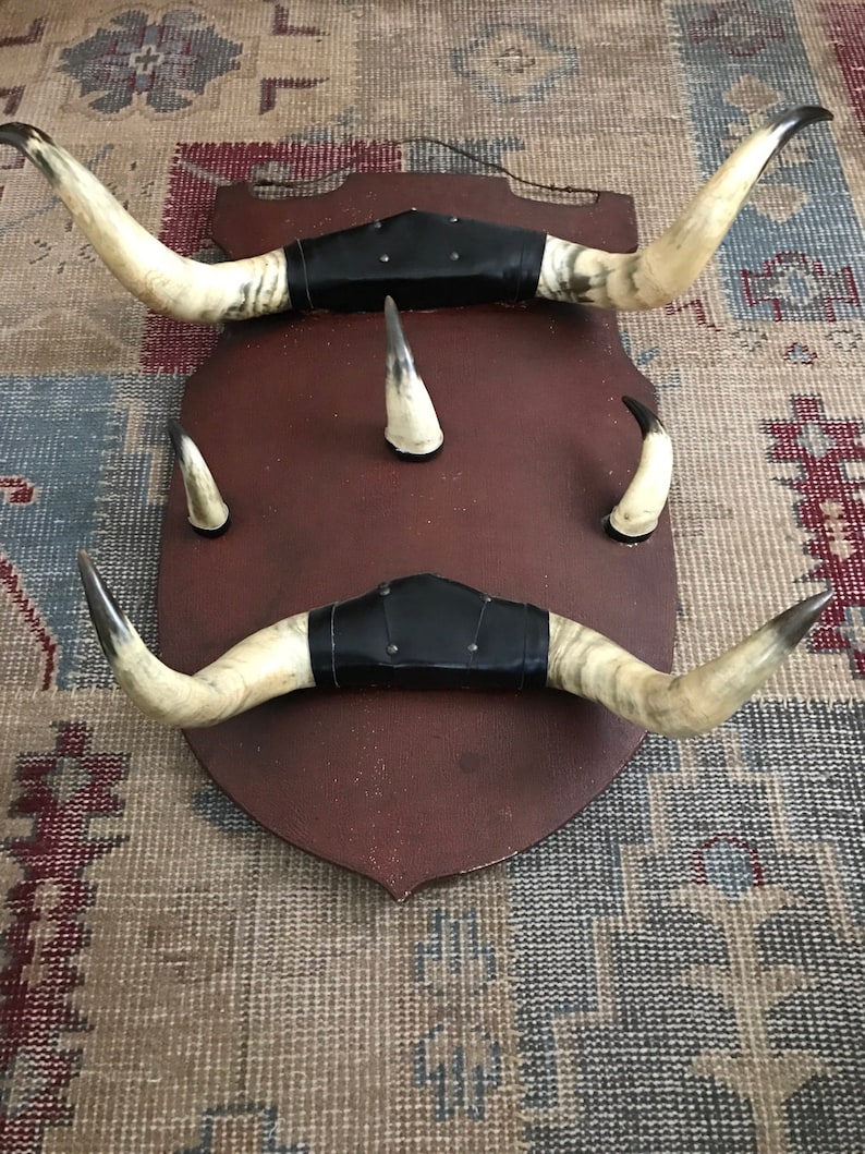 Antique Horn Coat Rack Adirondack Trophy Lodge Cow Horn Alpine Ski house Shield Camp French Country English Country Taxidermy