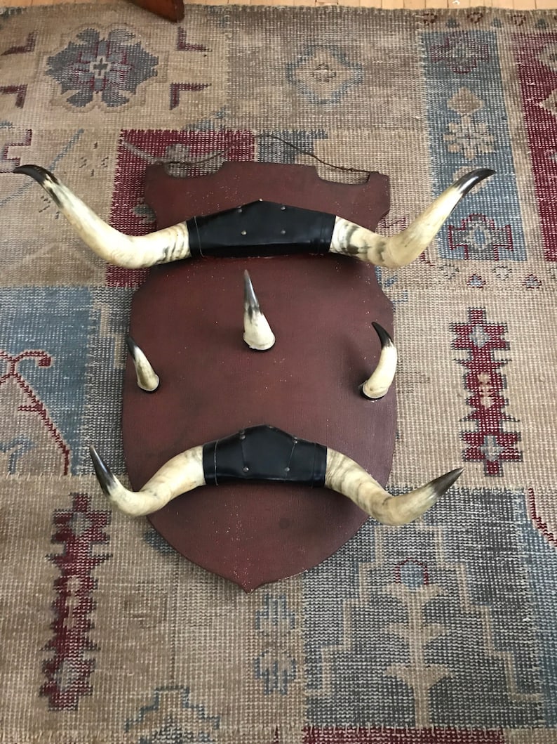Antique Horn Coat Rack Adirondack Trophy Lodge Cow Horn Alpine Ski house Shield Camp French Country English Country Taxidermy