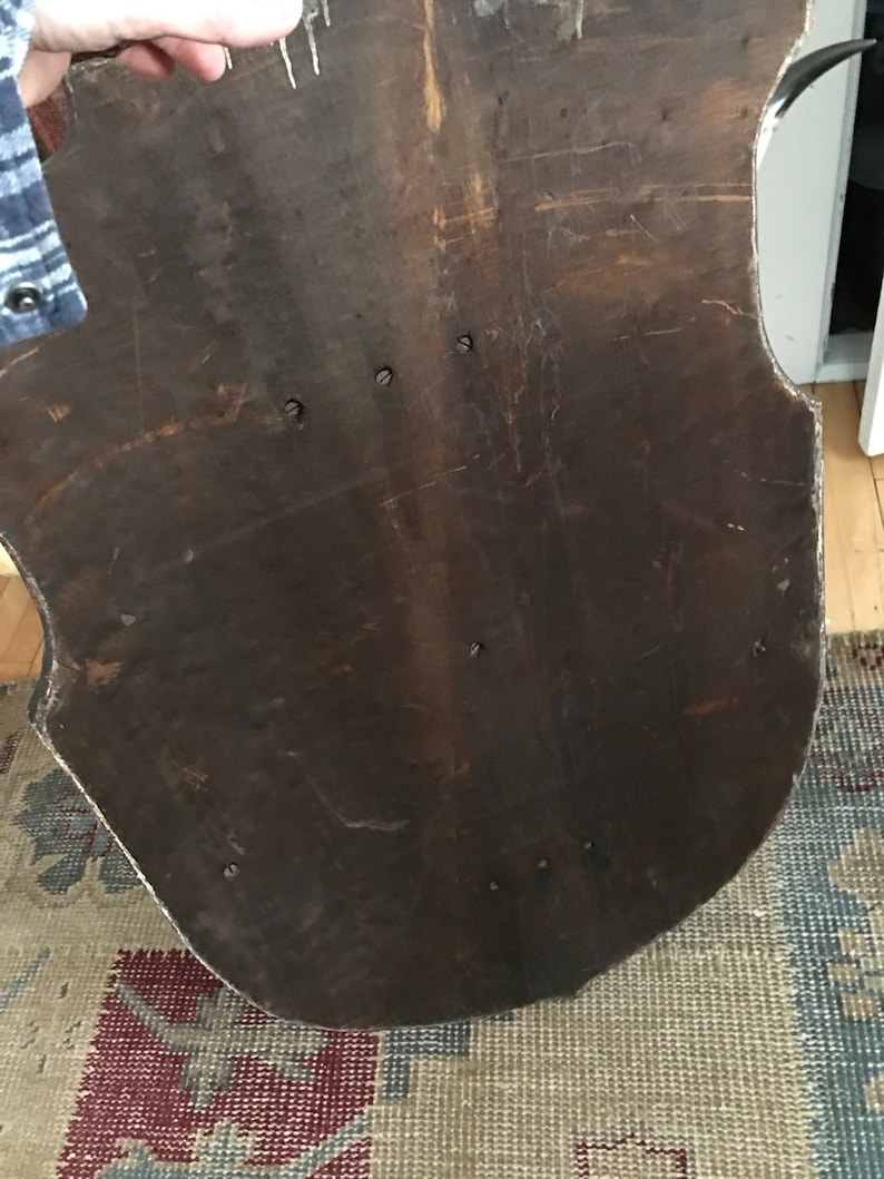 Antique Horn Coat Rack Adirondack Trophy Lodge Cow Horn Alpine Ski house Shield Camp French Country English Country Taxidermy