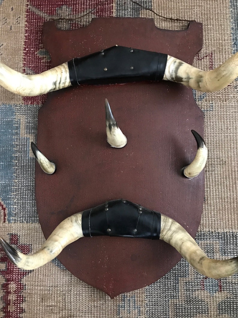 Antique Horn Coat Rack Adirondack Trophy Lodge Cow Horn Alpine Ski house Shield Camp French Country English Country Taxidermy