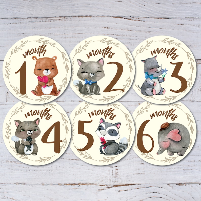 12 Piece Animal Print Baby First Year Monthly Milestone Belly Stickers Gift Set