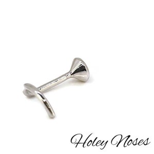 May include: A silver nose stud with a flared, cone-shaped top and a curved post. The stud is designed to be inserted into the nostril. The text "Holey Noses" is in the bottom right corner.