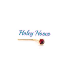 May include: A gold nose stud featuring a small, round, red gemstone. The text "Holey Noses" is written in a teal, cursive font. The stud is set against a white background.